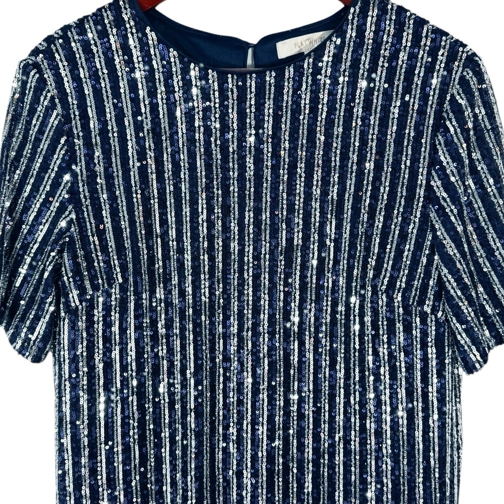 Anthropologie Flat White Short-Sleeve Sequin Stripe Shift Midi Dress small - Picture 6 of 14